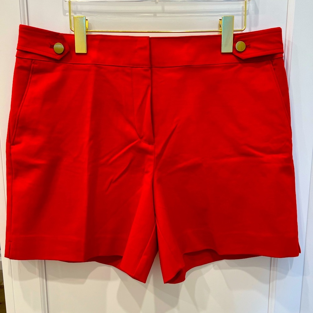 Ann Taylor Loft Shorts